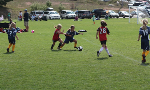2013 Fall Travel Registration